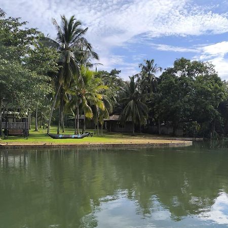 אודוואלאווה Yonan River Face Safari Resort מראה חיצוני תמונה