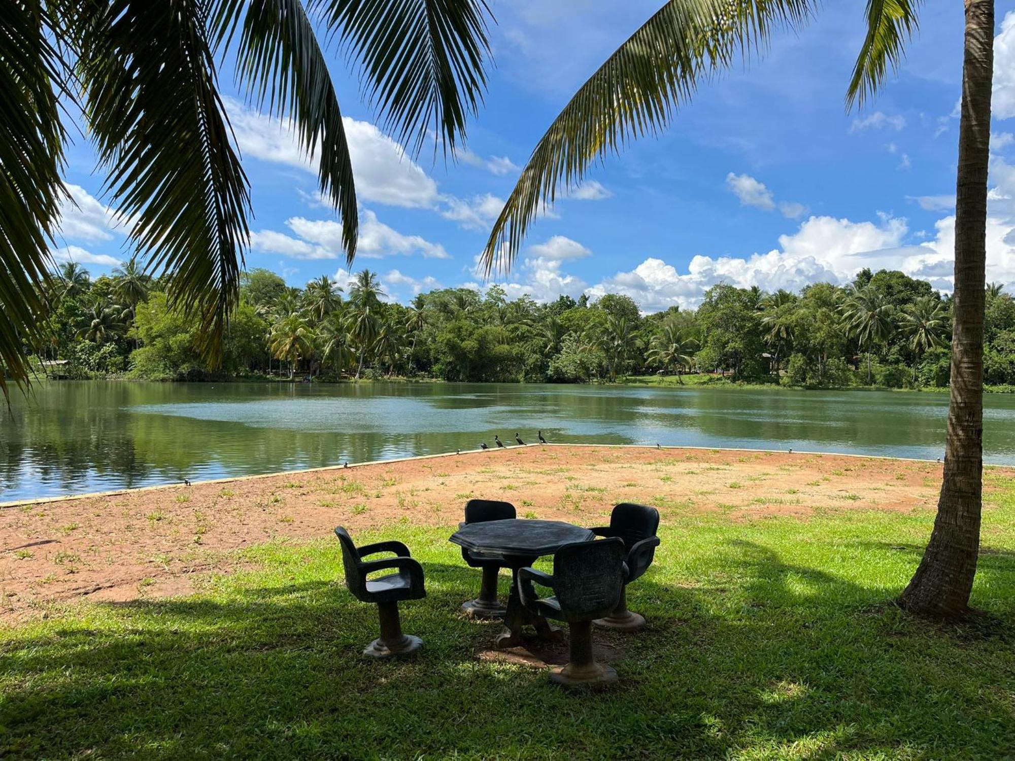אודוואלאווה Yonan River Face Safari Resort מראה חיצוני תמונה